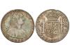 Lote 144