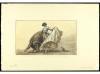 Lote 1416
