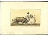 Lote 1419