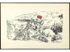 Lot 1903
