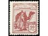 Lote 1901