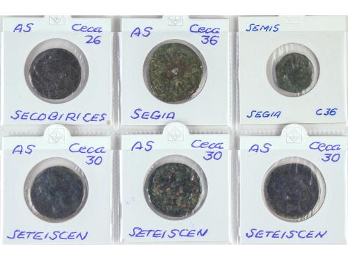 Lote 40