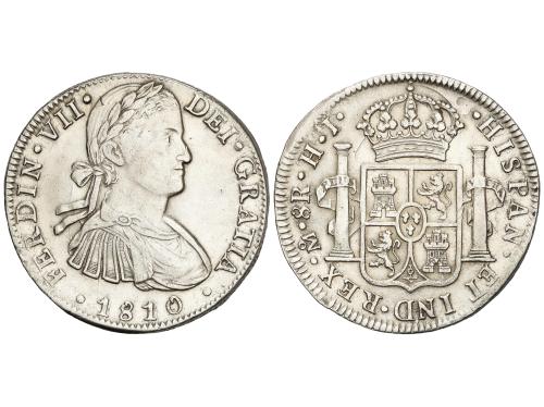 Lote 146
