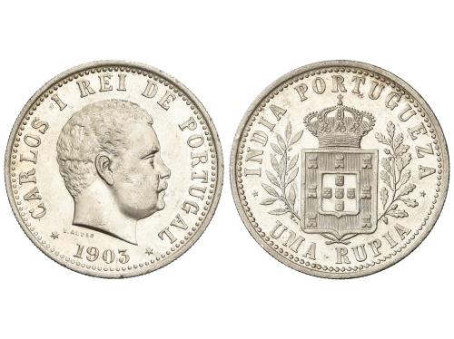 Lote 305