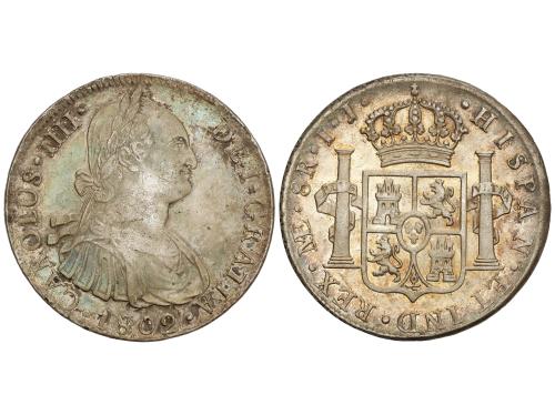 Lote 146