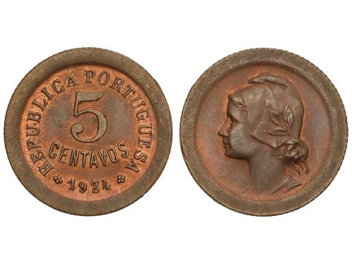 Lote 527