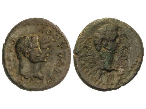 Lote 54