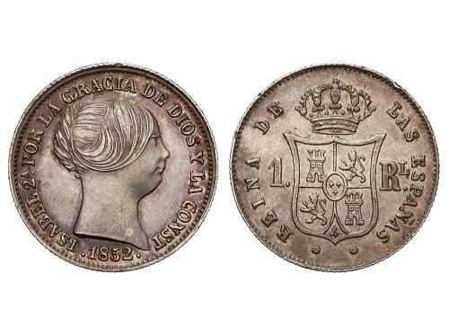 Lote 195