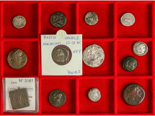 Lote 26