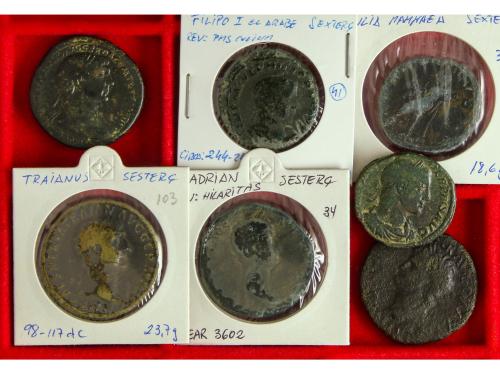 Lote 75