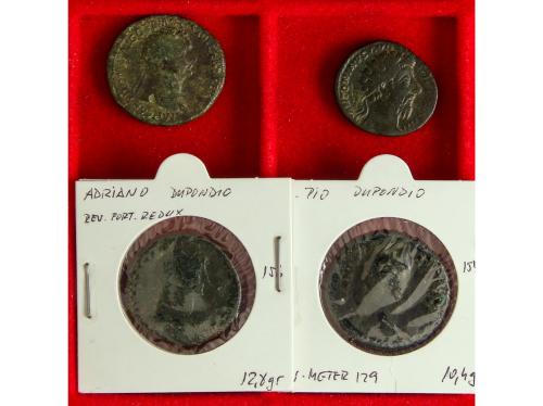 Lote 72