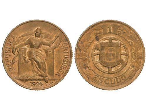 Lote 531