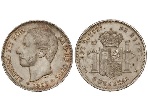 Lote 228