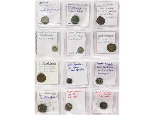 MONEDAS HISPANOÁRABES. Lote 106 monedas Tipo Felús. DIVERSAS
