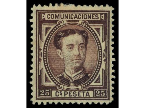 Lote 1181
