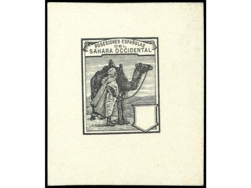 Lote 1904