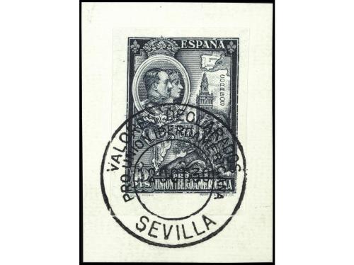 Lote 1246