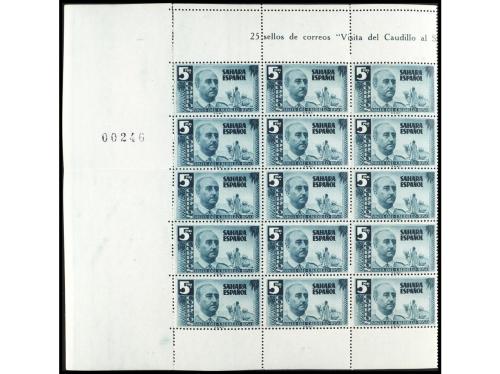 Lote 1915