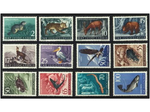 ** COLONIAS INGLESAS. Ed. 9/24. FALKLAND. GEORGIA DEL SUR. S