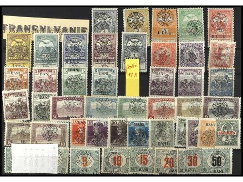 Lote 2494