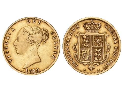 Lote 292