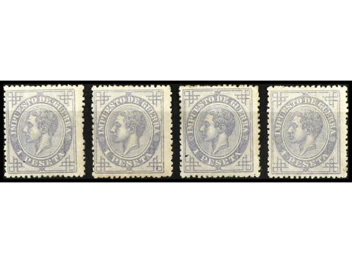 Lot 1135