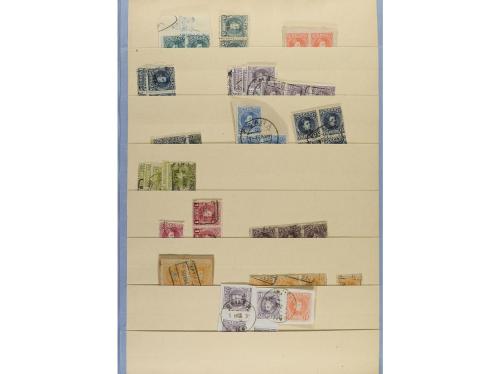 */° ESPAÑA. Ed. 241/55. STOCK en hojas clasificador con sell