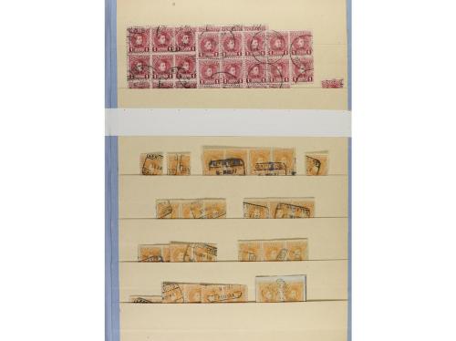 */° ESPAÑA. Ed. 241/55. STOCK en hojas clasificador con sell