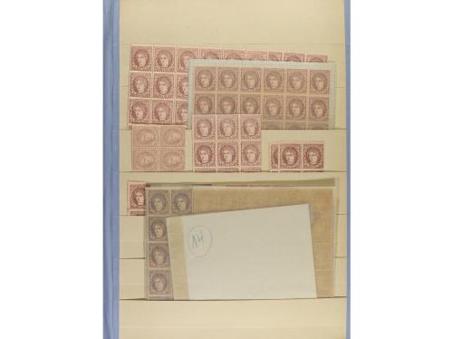 LOTES y COLECCIONES. ESPAÑA. Stock montado en hojas clasific