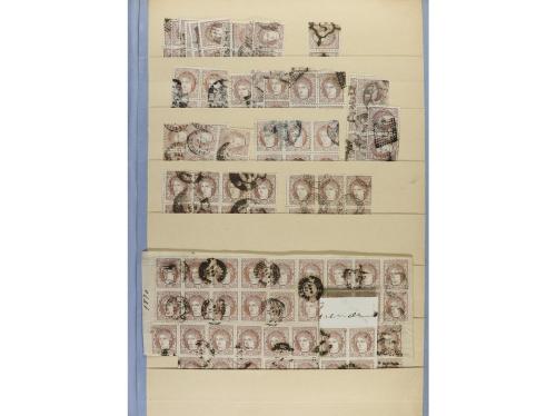 LOTES y COLECCIONES. ESPAÑA. Stock montado en hojas clasific