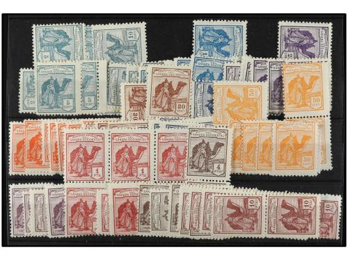 ** COLONIAS ESPAÑOLAS: SAHARA. Ed. 1/12 (9). 9 SERIES COMPLE