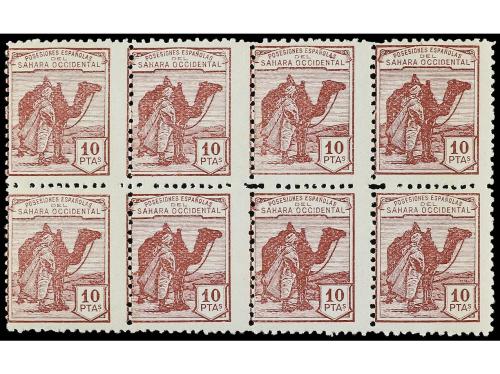 Lote 1902
