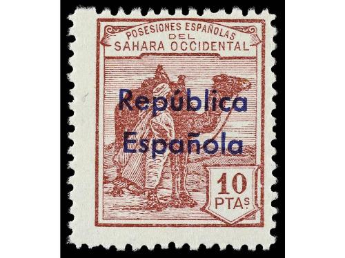 Lote 1910
