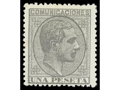 Lote 1134