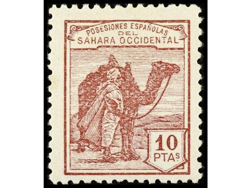 Lote 1903