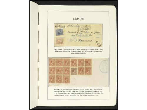 ESPAÑA. COLECCIÓN ESPECIALIZADA de las emisiones de Alfonso 