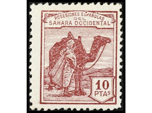 Lote 1901