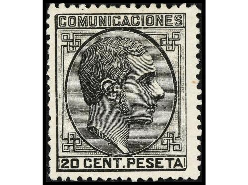 Lote 1131