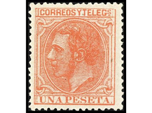 Lote 1136