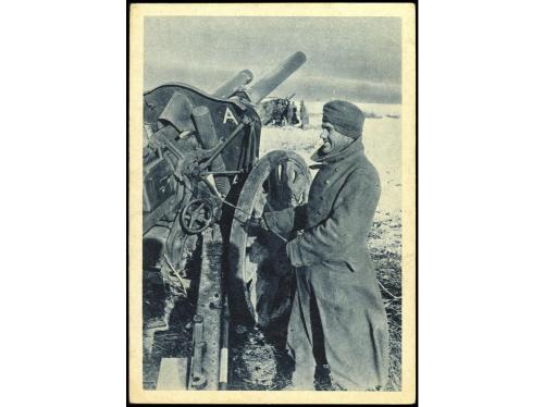 Lot 1900