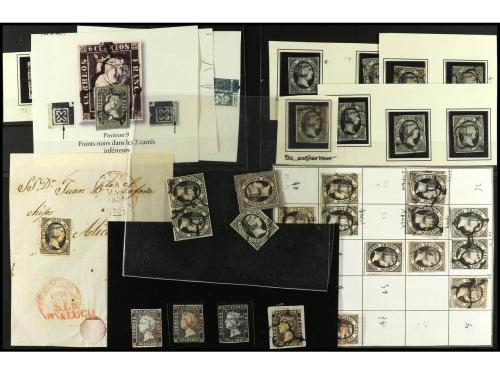 Lot 1036