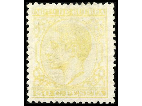 Lot 1137