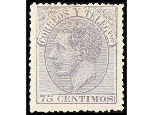Lot 1141