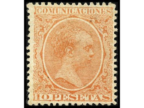 Lot 1146